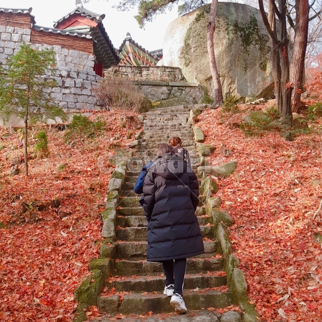 가을등산,단풍등산,가족가을등산,절가는모습,청소년가을등산,등산,붉은등산배경