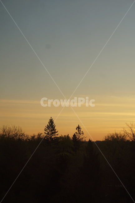 노을짐,노을,노란햇빗,밤나무,저녁노을,evening
