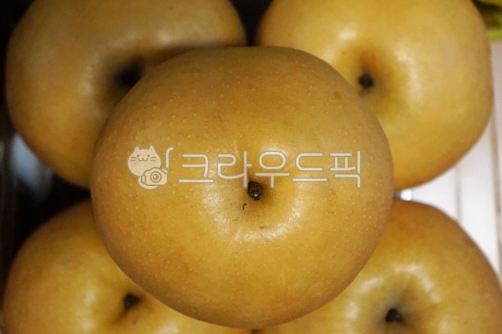과일, 배, fruit, pear, 나주배, 사진,이미지,일러스트,캘리그라피 - hys작가
