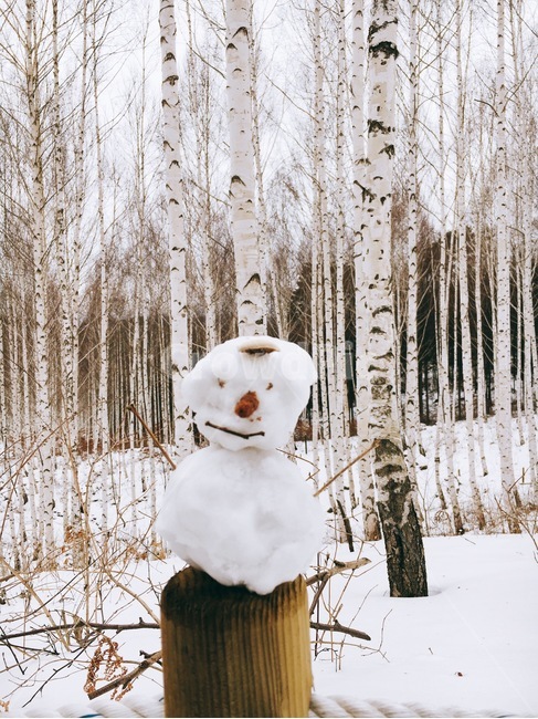 nature,자연,snow,눈,winter,snowman,인제,자작나무숲,눈사람