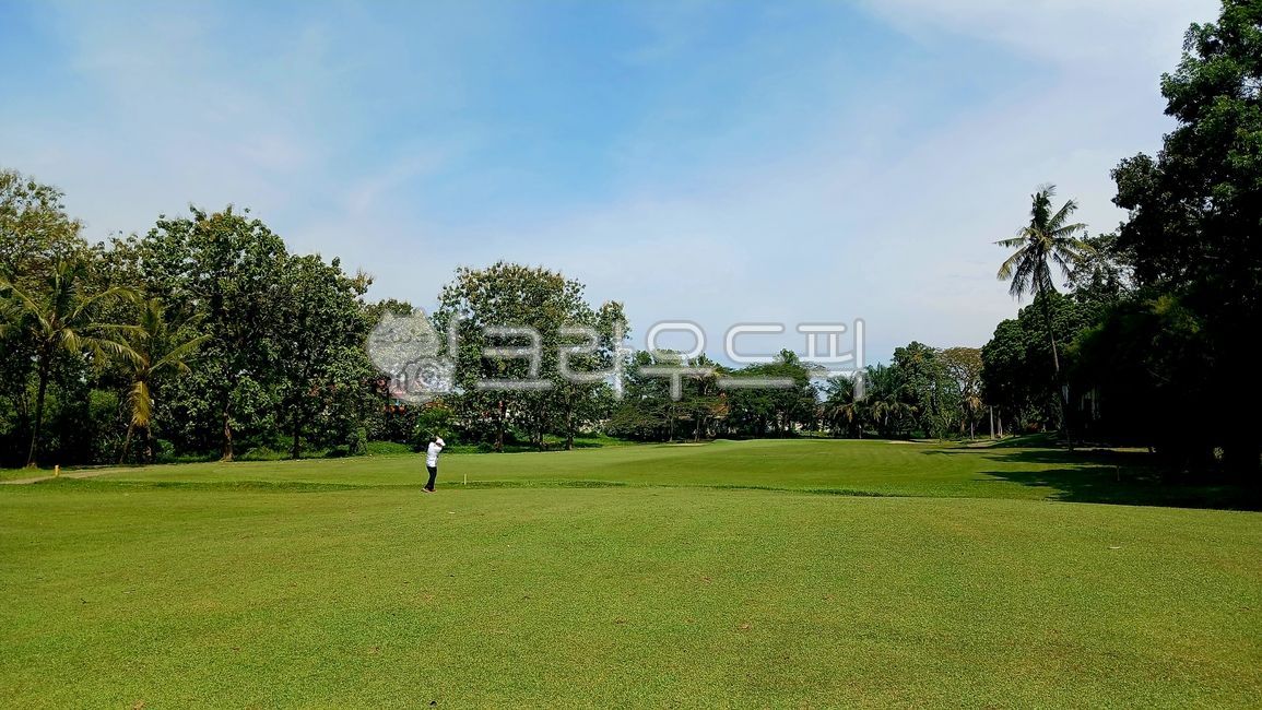 golf,field,golf course,fairway,golfcourse,Southeast Asia Golf