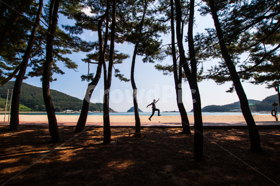 나무,tree,점프,숲,자연,풍경,남해,바닷가,여행