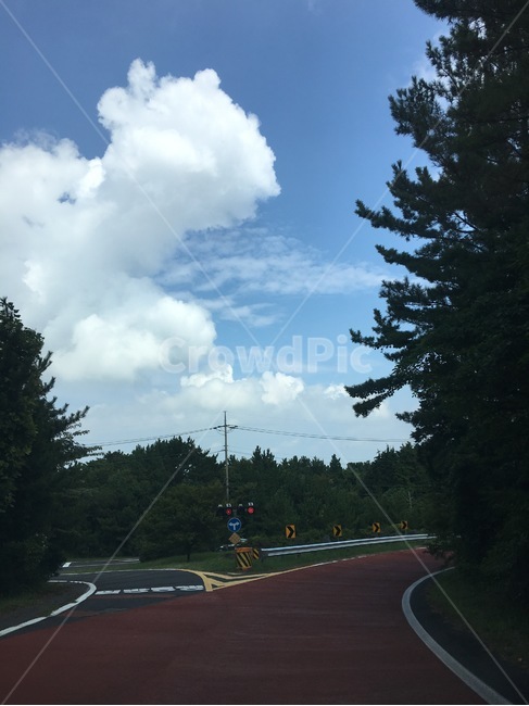갈림길,거리,도로,교차로,길,선택,갈림,자연,풍경,nature,landscape,road,asphalt,아스팔트,tree,나무,plant,식물