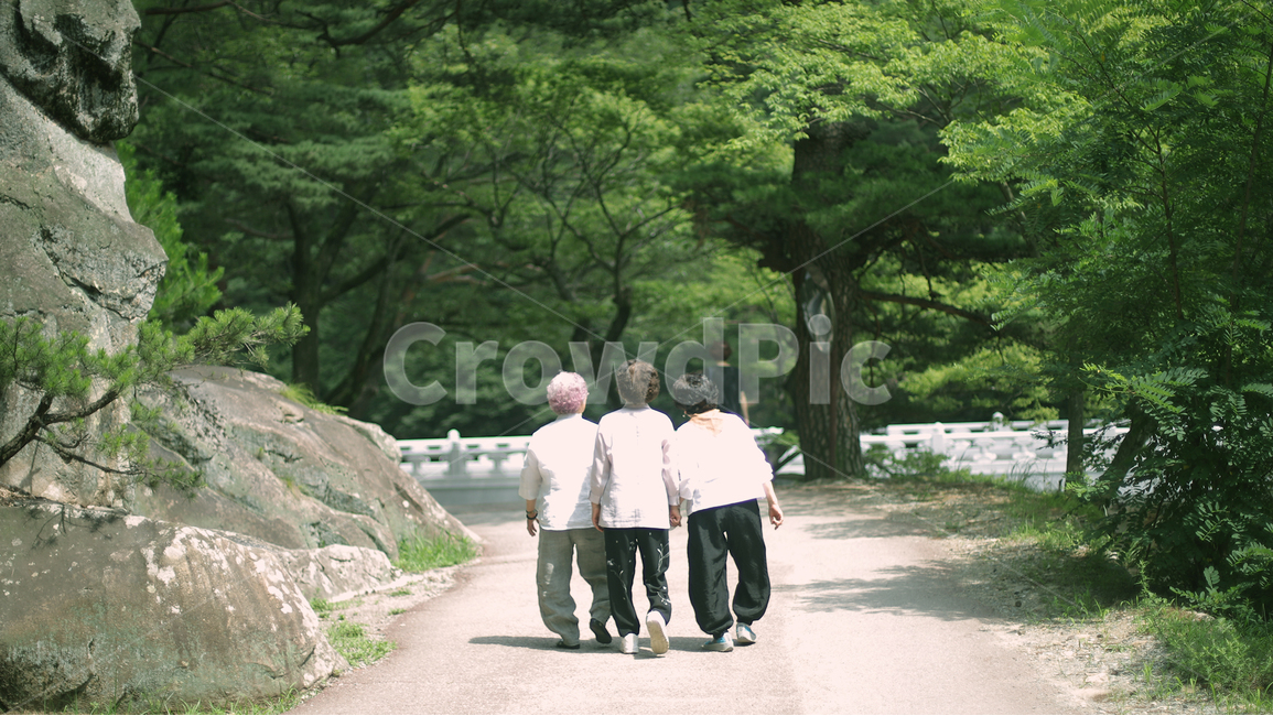 걸음,우정,친구,산책,어머니,사람,사람,인물,인간,human,person,여성,여자,woman,female,lady,친구,우정,friendship,companion