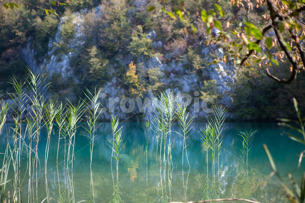 light,크로아티아,호수,lake,세계자연경관,flare,플레어,숲,자연,경관,경치,배경,풍경,흙,땅,빛,햇빛,긍정,평온,평화,밝은,sunny,weather,forest,leaf,tree,삼림지,woodland,outdoors,옥외,sunlight,grove,작은숲,나무,나라,land,초목,vegetation,식물,plant,자연,풍경,nature,landscape,해외,외국,세계,foreign,oversea,world,세계자연풍경,해외자연풍경,외국자연풍경,world nature landscape