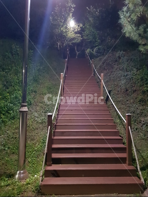 공원,가로등,계단,밤,산책,자연,풍경,nature,landscape,야경,밤,nightscape,night,staircase,banister,난간,handrail