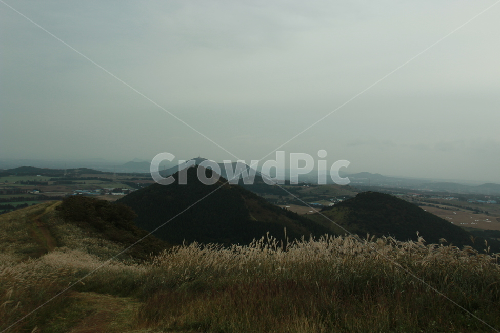 제주도,오름,새별오름,봉성리,억새,가을,자연,언덕,제주,자연,풍경,nature,landscape,outdoors,옥외,hill