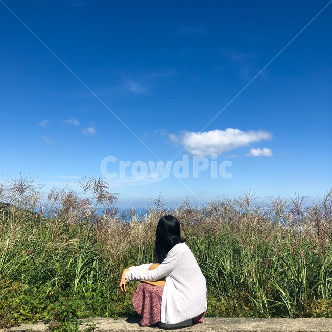 인물,소녀,갈대,갈대밭,feeling,뒷모습,summer,자연,nature,제주도,여자,여성,lady,human,traveling,여행,원피스,구름,하늘,cloud,sky,mood