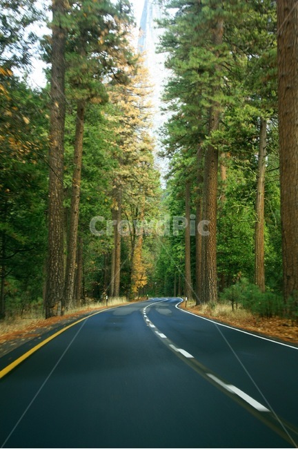 숲,도로,초록,숲속,green,나무,녹색,국립공원,자연,풍경,nature,landscape,road,freeway,고속 도로,highway,고속도로