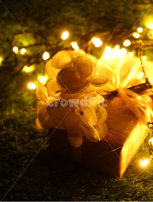선물,선물상자,생일,꽃,빼빼로,gift,인테리어,flower,조명,불빛,따뜻함,야경,밤,풍경,nightscape,night,landscape,기념일,축하,anniversary,congratulation,celebrate,celebration,lighting