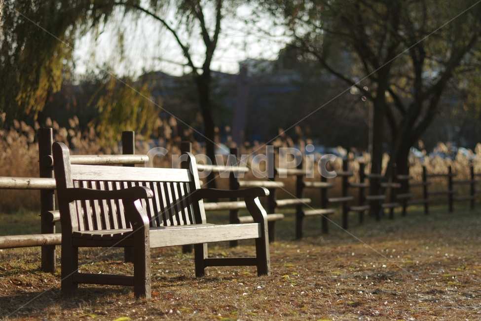 의자,couch,chair,가을,fall,autumn,나무,tree,그림자,shadow,쓸쓸함,고독함,외로움,벤치,bench,감성,감성사진,가을,계절,fall,autumn,season,휴식,힐링,rest,relaxation,healing,furniture,가구