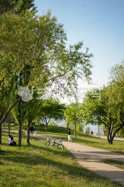 rest,Hangang Park,tree,park,Seonyudo Park