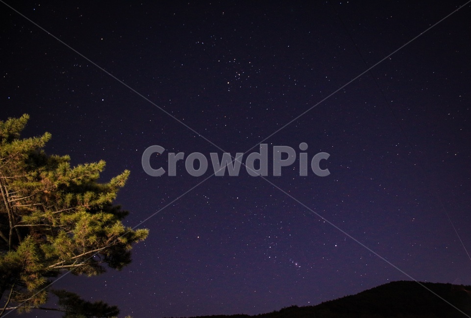 밤하늘,별,별자리,star,나무,야경,밤,겨울,야경,밤,풍경,nightscape,night,landscape,nature,자연,outdoors,옥외