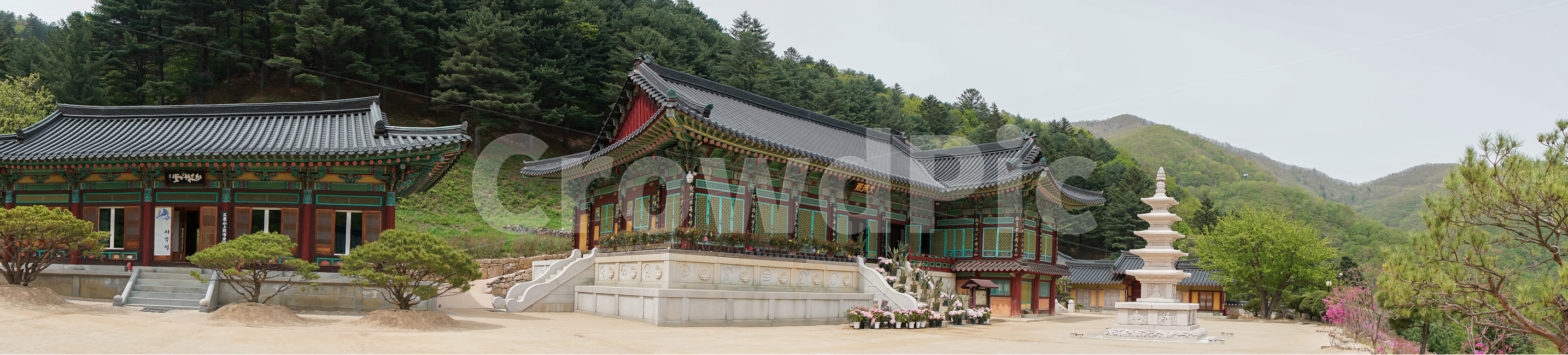 절,사원,불교,부처,극락,종교,탑,상원사,오대산,강원도,대한민국,산,숲,나무,녹색,푸른,하늘,봄,여름,깨끗한,상쾌한,조용한,경건한,temple,buddhism,religion,buddha,paradise,heaven,pagoda,sangwonsa,odaesan,gangwondo,korea,mountain,forest,tree,green,blue,sky,spring,summer,clean,fresh,slience,reverent,panorama,파노라마,풍경,landscape,한국전통,한국문화,korean traditional,korean culture,종교,신앙,religion,belief,faith,건축물,건물외관,exterior,building,structure,architecture,construction