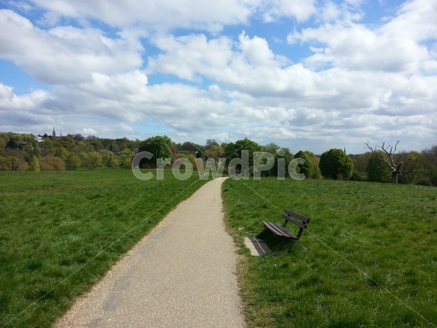 햄스테드,런던,영국,공원,여유,산책,잉글랜드,london,park,uk,england,자연,풍경,nature,landscape,해외,외국,세계,foreign,oversea,world,세계자연풍경,해외자연풍경,외국자연풍경,world nature landscape,plant,식물,grass,잔디,outdoors,옥외