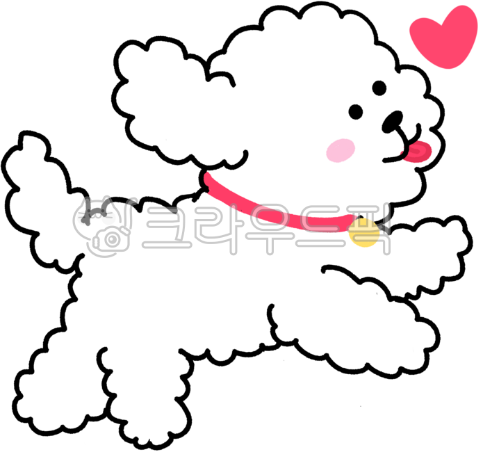 Running puppy,favorite puppy,white puppy,white poodle,white puppy,puppy waving its arms,standing puppy,pet dog,white poodle,fluffy puppy,dog,companion dog,pet dog,puppy character,puppy,white,abandoned dog,dog walk,puppy asking for a snac