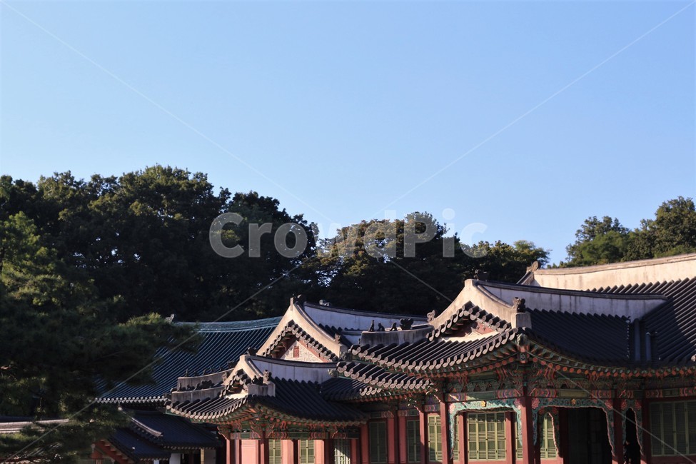 지붕,건축물,architecture,서울,궁궐,창덕궁,기와,roof,풍경,seoul,한국전통,한국문화,korean traditional,korean culture,건축물,건물외관,exterior,building,structure,architecture,construction