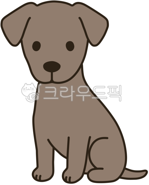 강아지,댕댕이,귀여움,친구,반려동물,동물,멍멍이,폭신한,부드러운,이쁜,착한,개,이탈리안그레이하운드