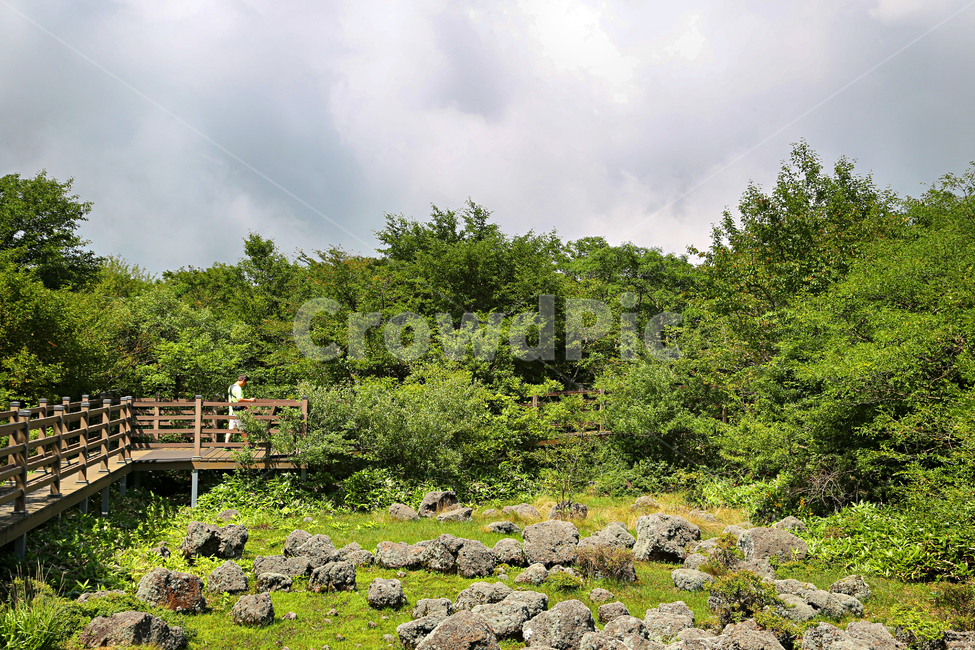 제주도,한라산,1100고지,한라산풍경,1100고지풍경,산,nature,자연,옥외,outdoors,다리,산책로,bridge
