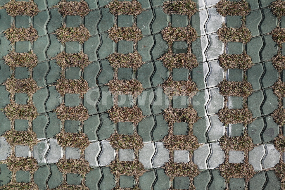 길거리바닥,길바닥,보도블럭,길거리,인도,잔디,텍스처,질감,패턴,texture,pattern