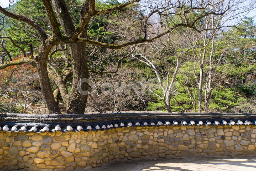 돌담,한국,전통,담벼락,기와,나무,풍경,청도,운문사,한국전통,한국문화,korean traditional,korean culture,식물,자연,plants,nature,나무,trees,wood,건축물,건물외관,exterior,building,structure,architecture,construction