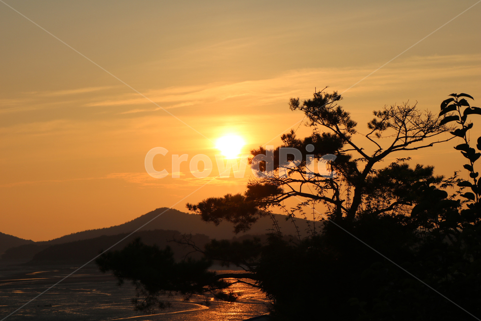 노을,풍경,자연,저녁,해질녘,배경,sunset,nature,evening,view안면도