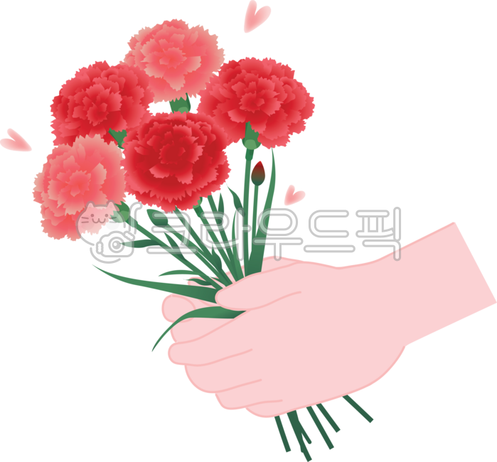 Carnation,carnation illustration,carnation image,parent's day,teacher's day,gratitude,carnation bouquet