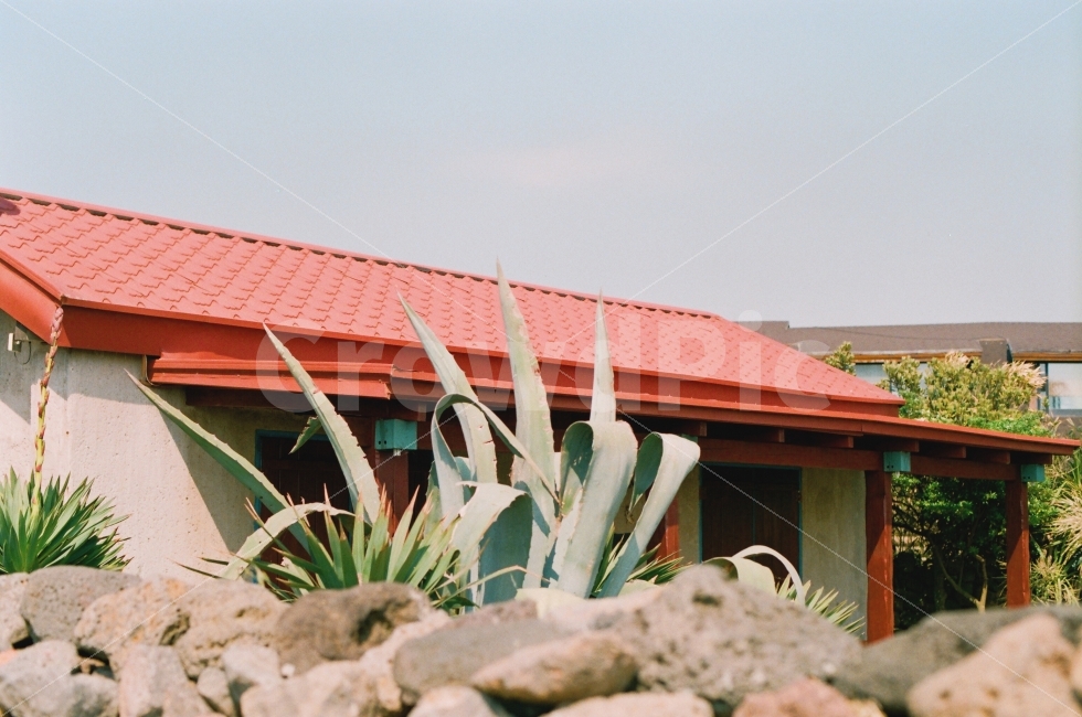돌,지붕,하늘,식물,빨간색,풍경,자연,제주도,제주도,jeju,jeju island,감성,sensible,feeling,plant,aloe,노회