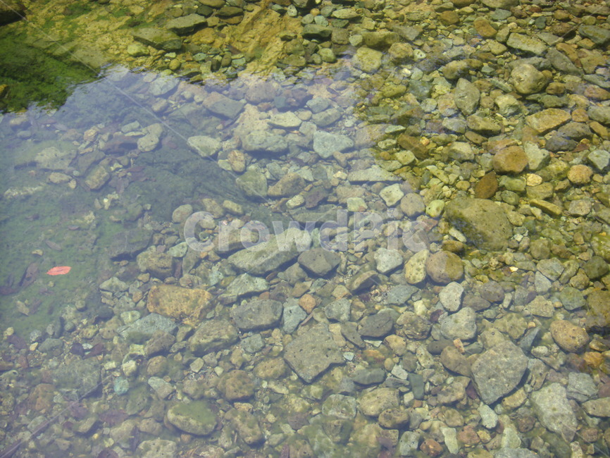 한국풍경,숲속,물속,계곡,돌,자연,풍경,nature,landscape