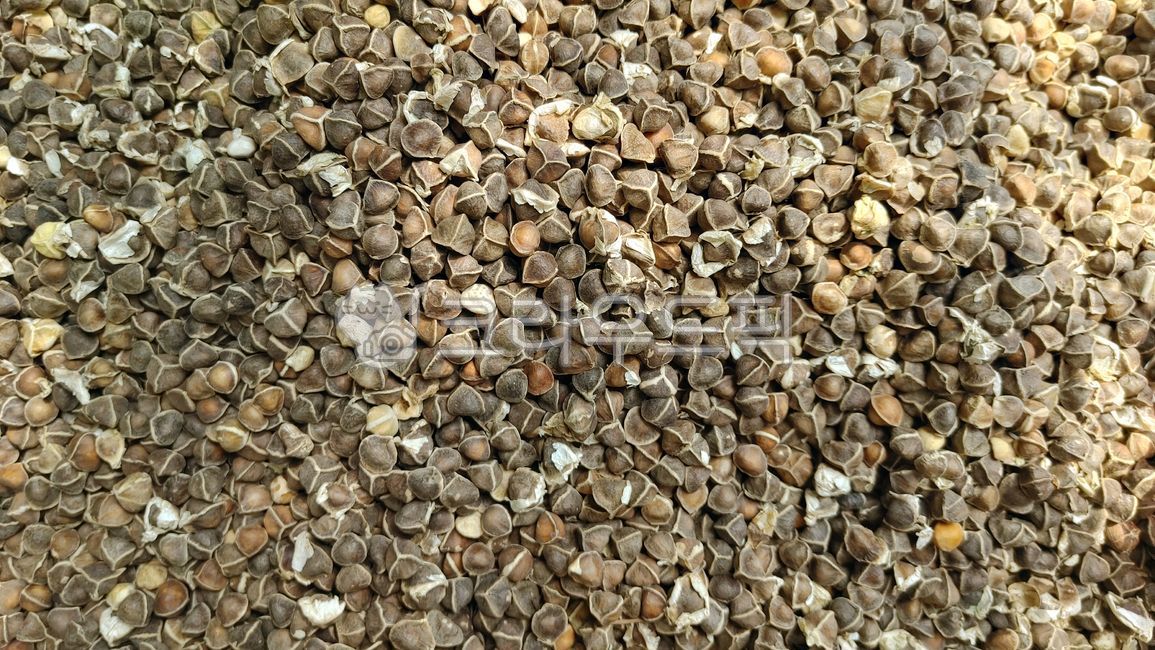 모링가,씨앗,열대식물,아열대식물,건강식품,열매,시장,패턴,작은씨앗,슈퍼푸드,배경,백그라운드