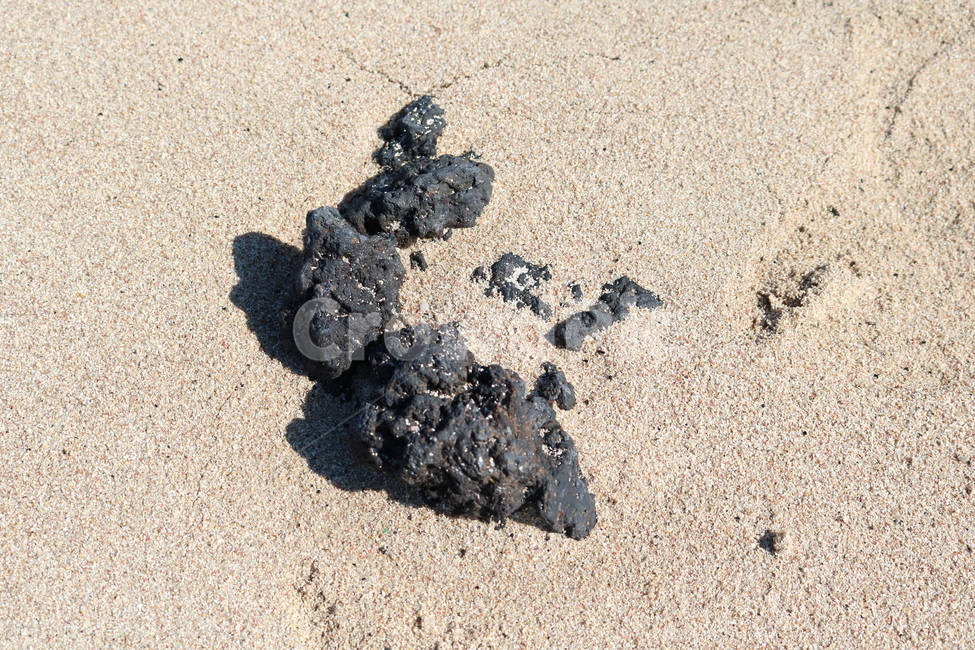 rock,돌,모래,sand,바위