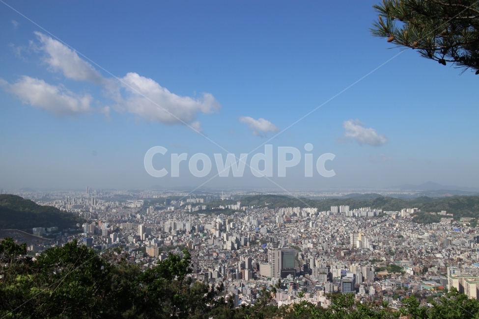 도시,서울,서울전경,나무,구름,하늘,지평선,건물,빌딩,city,cityview,seoul,landscape,sky,bluesky,cloud,horizon,서울풍경,도시,풍경,city,landscape,한국도시풍경,한국도시경관,korea cityscape,nature,자연,경치,outdoors,옥외,scenery,aerial view,조감도