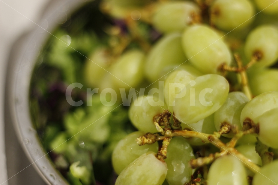 음식,요리,쉐프,주방,조리,푸드,food,cook,cooking,meal,Chef,kitchen,grape,muscat,청포도,음식,식재료,요리,food,cook,meal,dishes,food reserves,과일,열매,fruit