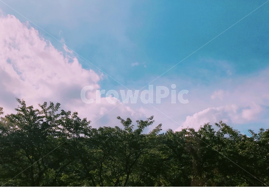 나무,초록,하늘,잔잔함,풍경,자연,풍경,nature,landscape,weather,날씨,outdoors,옥외,cumulus,적운,cloud,구름,sky