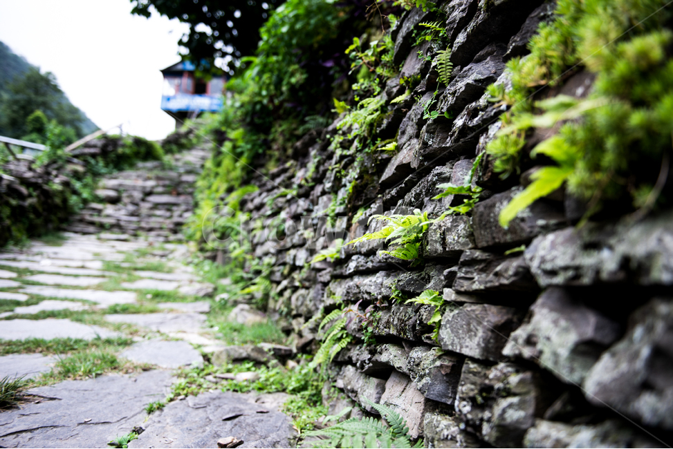 wall,벽,stonewall,돌담,히말라야,안나푸르나,트래킹,트레킹,이끼,돌길,등산