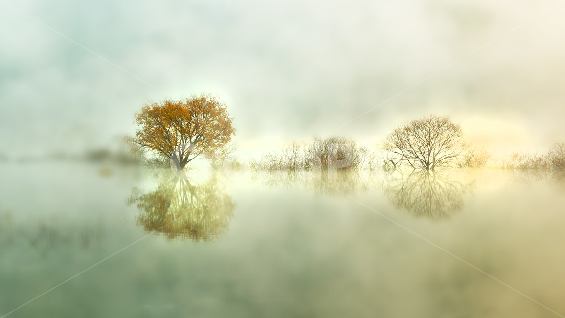 가을,호수,반영,나무,아침,한국,자연,풍경,nature,landscape,한국자연풍경,한국자연경관,korea nature landscape,weather,날씨,fog,안개,outdoors,옥외