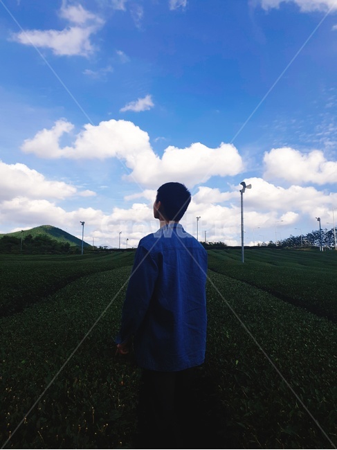 남자뒷모습,녹차밭,야외,옥외,밭,사람,뒷모습,인간,사람,인물,인간,human,person