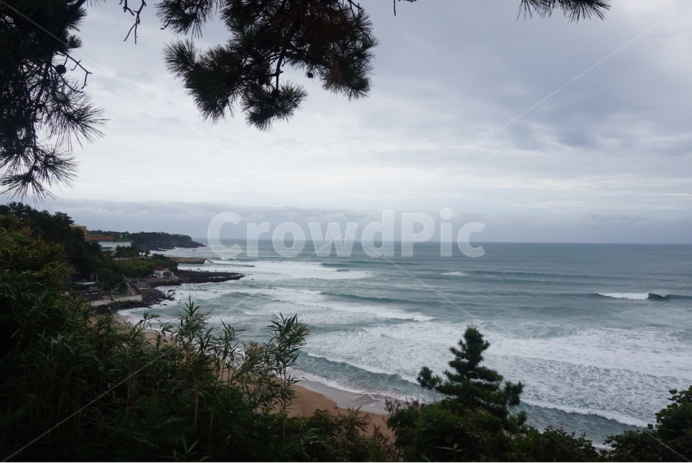 제주도,바다,바다뷰,풍경,파도,자연,풍경,nature,landscape,tree,나무,plant,식물,promontory,곶