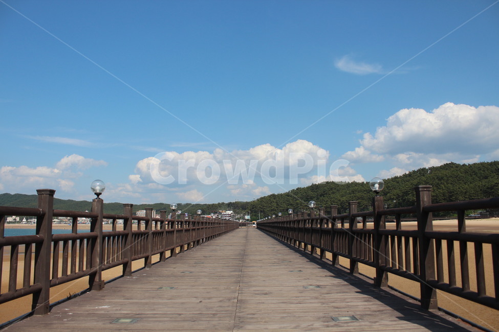 boardwalk,산책로,bridge,다리,building,건물,난간,water,railing,물