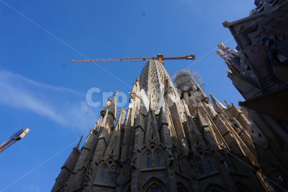 스페인,사그라다파밀리아,성당,가우디,건출물,랜드마크,landmark,tourist attraction,해외,외국,세계,foreign,oversea,world,세계랜드마크,해외랜드마크,외국랜드마크,world landmark,world tourist attraction,architecture,건축물,steeple,뾰족한 탑,spire,첨탑,tower,탑,building,건물