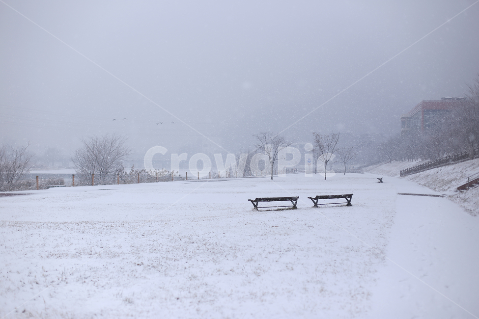 겨울,눈,눈오는날,snow,winter,풍경,감성,화이트,추위,폭설,설경,겨울,계절,winter,season