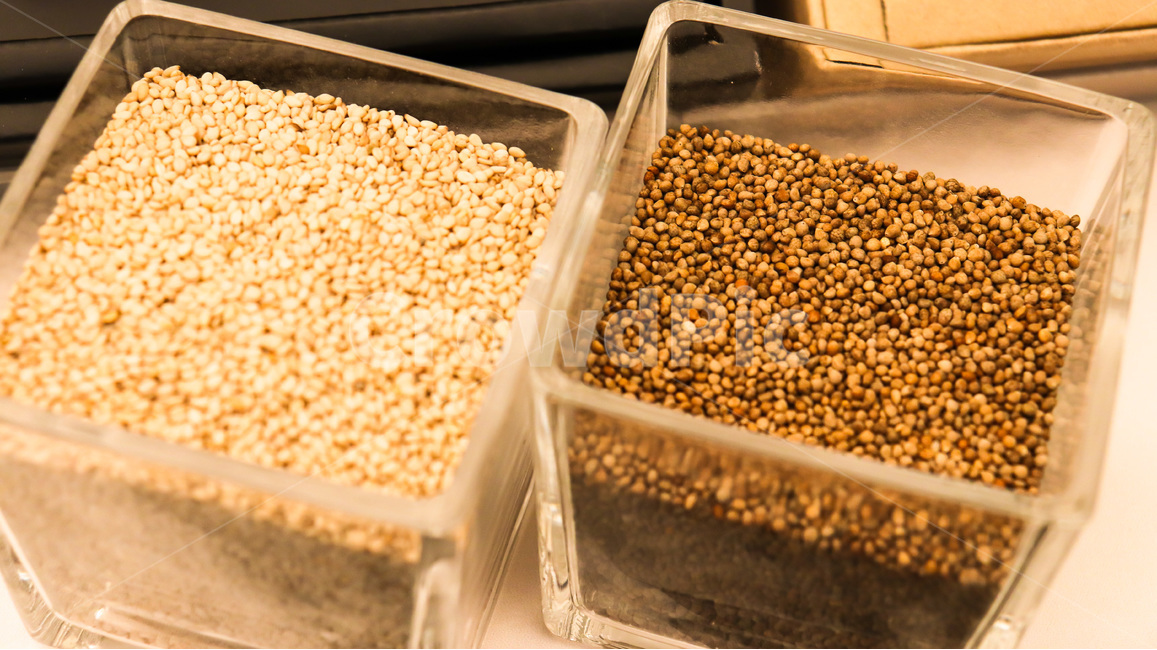참깨,들깨,참기름,들기름,깨,음식,식재료,요리,food,cook,meal,dishes,food reserves,곡류,곡식,cereals