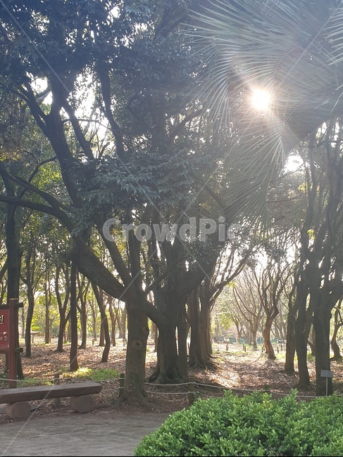 산책길,한라수목원,흙길,산책로,우거진나무,많은나무,봄