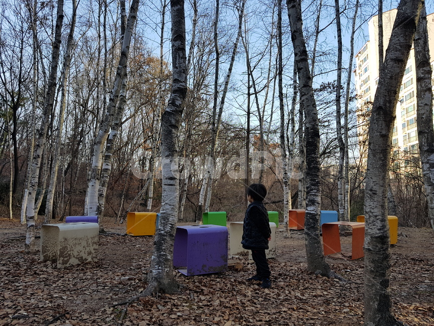 산,숲,아이,남자아이,뒷모습,사람,인물,인간,human,person,어린이,어린아이,child,children,kid