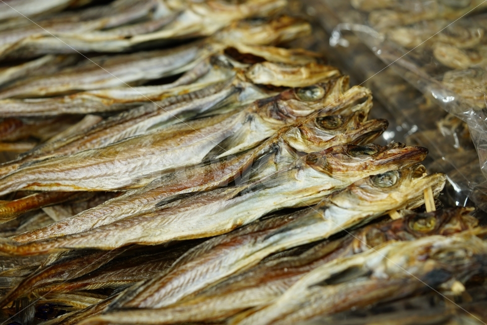 건어물,생선,먹거리,찬,반찬,마른생선,일상,사진,fish,노가리,안주,맥주안주,안주추천,씹을거리,음식,식재료,요리,food,cook,meal,dishes,food reserves,수산물,해산물,fishery products,seafood