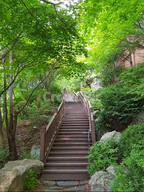 식물,자연풍경,힐링,계단,휴식