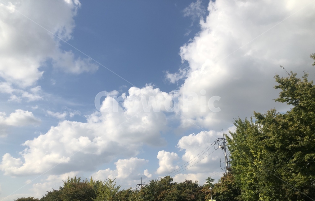 하늘,구름,나무,자연,풍경,날씨,가을,nature,weather,푸른하늘,azuresky,sky,cloud,cumulus,적운
