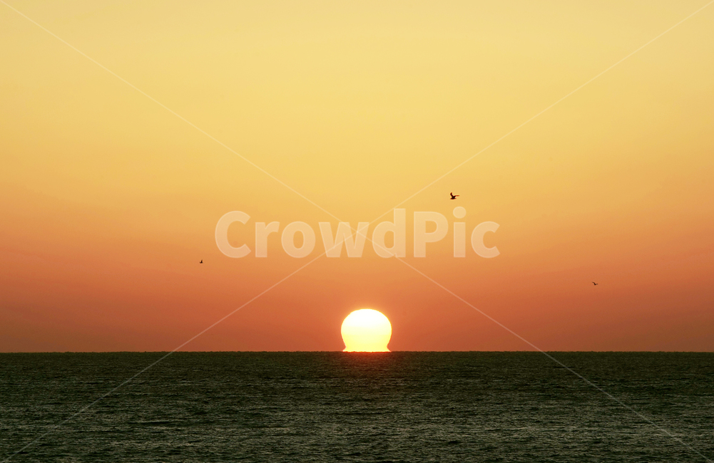 바다,일몰,태양,해질녁,갈매기,자연,풍경,nature,landscape,outdoors,옥외,sunlight,햇빛,sky,하늘,sunset,dusk,황혼,dawn,새벽,red sky,붉은 하늘