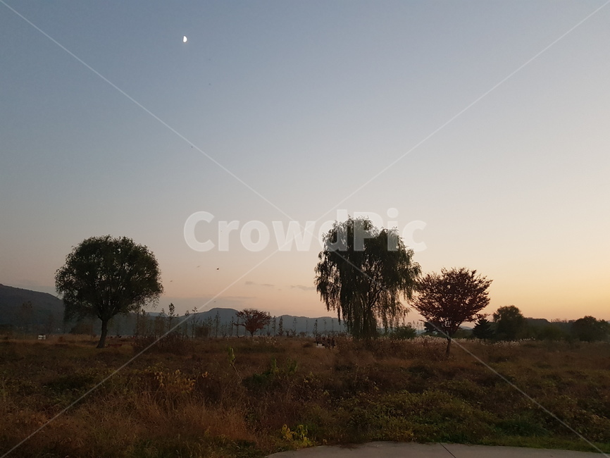 두물머리,노을,저녁노을,양수리,노을빛