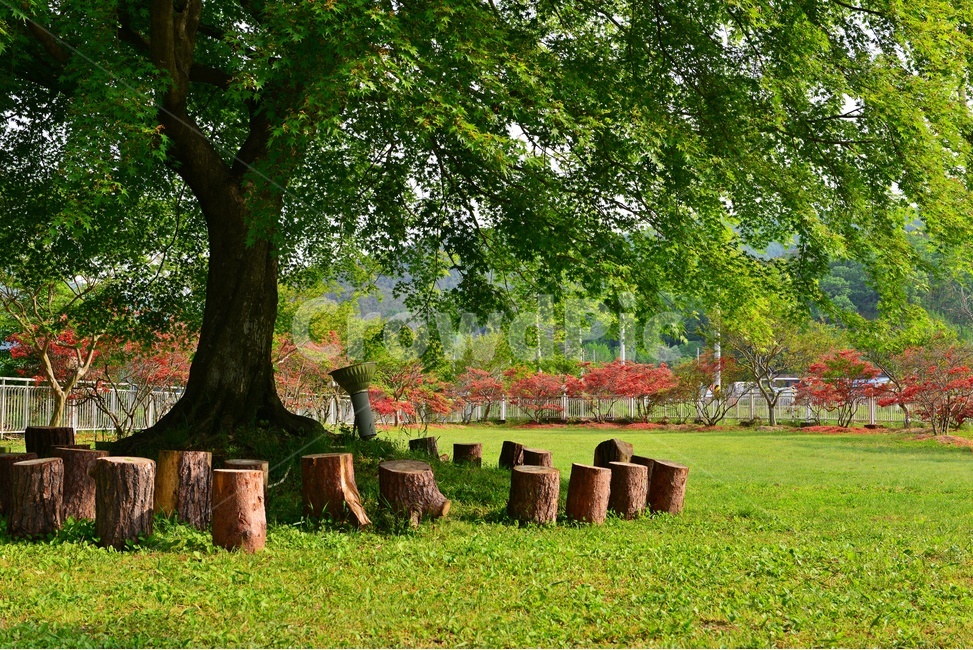 grass,잔디,tree,나무,treetrunk,나무줄기,화순,남면,숲속의무릉도원,무릉도원,철쭉꽃,철쭉,봄,계정,경치,경관,풍경,outdoors,옥외,plant,식물,water,물,nature,자연,나무,trees,wood